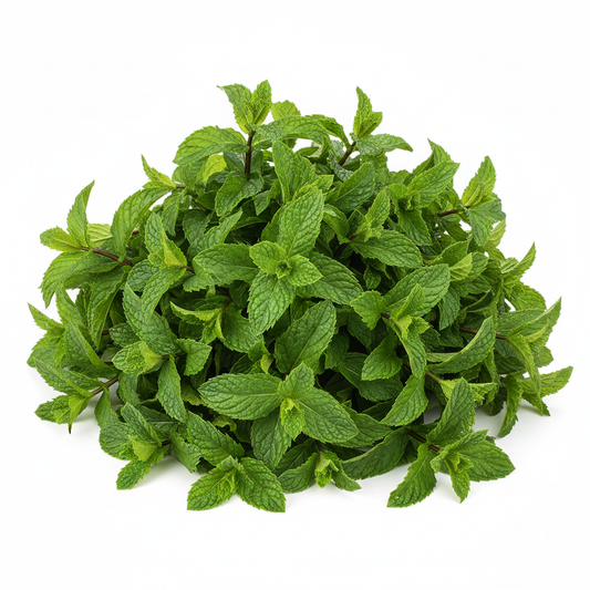 Abundant Fresh Mint 20g